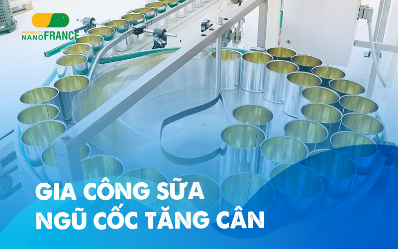 Muốn sản xuất gia công sữa ngũ cốc tăng cân? – NanoFrance sẽ giúp bạn!