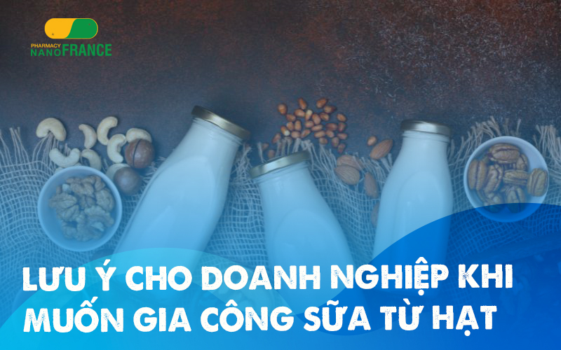 Muốn gia công sữa từ hạt – Đừng bỏ qua 3 thông tin dưới đây!