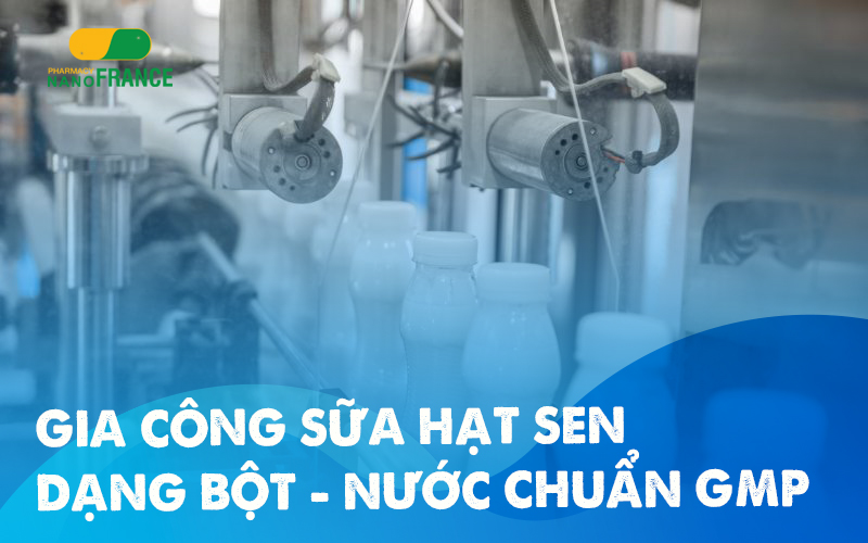 Nhận gia công sữa hạt sen dạng Bột – Nước chuẩn GMP